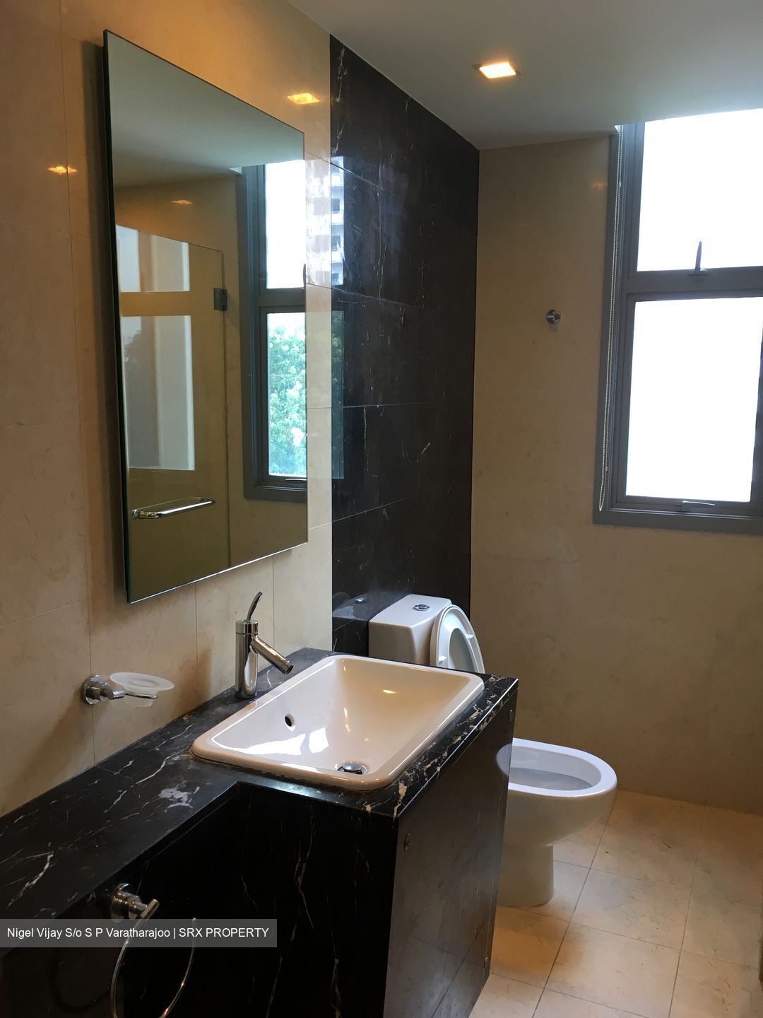 Residences @ Evelyn (D11), Condominium #292978251